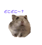 ハムちゃんちゃんズ（個別スタンプ：16）