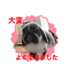 蒼空のおうちスタンプ♪②（個別スタンプ：1）
