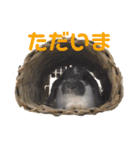 蒼空のおうちスタンプ♪②（個別スタンプ：2）