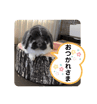 蒼空のおうちスタンプ♪②（個別スタンプ：5）