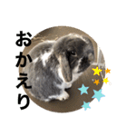 蒼空のおうちスタンプ♪②（個別スタンプ：8）