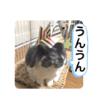 蒼空のおうちスタンプ♪②（個別スタンプ：10）