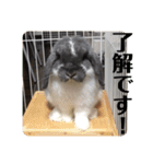 蒼空のおうちスタンプ♪②（個別スタンプ：12）