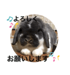 蒼空のおうちスタンプ♪②（個別スタンプ：13）