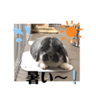 蒼空のおうちスタンプ♪②（個別スタンプ：14）