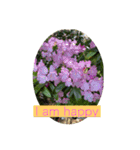 HELLO！flowers！（個別スタンプ：1）