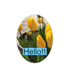 HELLO！flowers！（個別スタンプ：2）