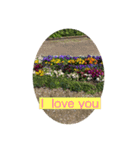 HELLO！flowers！（個別スタンプ：3）