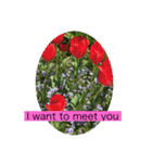 HELLO！flowers！（個別スタンプ：7）