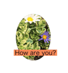 HELLO！flowers！（個別スタンプ：9）