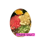 HELLO！flowers！（個別スタンプ：11）