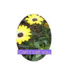 HELLO！flowers！（個別スタンプ：22）