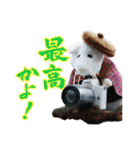 NEZUMI HOUSEの仲間たち 4（個別スタンプ：16）