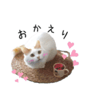 猫のかりん【日常補充編】（個別スタンプ：1）
