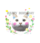 猫のかりん【日常補充編】（個別スタンプ：14）