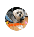はなとそらスタンプー（個別スタンプ：4）