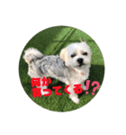 はなとそらスタンプー（個別スタンプ：11）