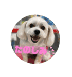 はなとそらスタンプー（個別スタンプ：13）