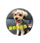 はなとそらスタンプー（個別スタンプ：14）