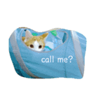 ねこまつり。（個別スタンプ：3）