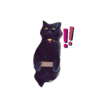 ねこまつり。（個別スタンプ：4）