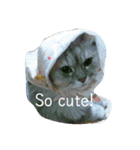 ねこまつり。（個別スタンプ：9）
