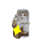 ねこまつり。（個別スタンプ：14）