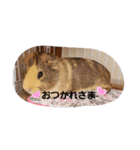 モル生活2（個別スタンプ：1）