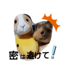 モル生活2（個別スタンプ：8）