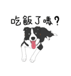 面白くて、かわいい犬（個別スタンプ：8）