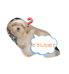 くぅ山さん❗️（個別スタンプ：1）