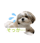 くぅ山さん❗️（個別スタンプ：4）