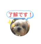くぅ山さん❗️（個別スタンプ：6）