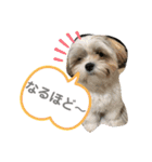 くぅ山さん❗️（個別スタンプ：7）