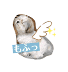 くぅ山さん❗️（個別スタンプ：11）