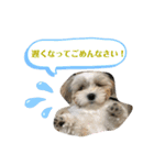くぅ山さん❗️（個別スタンプ：13）