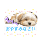 くぅ山さん❗️（個別スタンプ：14）
