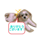 くぅ山さん❗️（個別スタンプ：15）