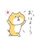 ゆる柴犬クッキー（個別スタンプ：1）