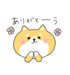 ゆる柴犬クッキー（個別スタンプ：3）