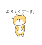 ゆる柴犬クッキー（個別スタンプ：8）