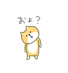 ゆる柴犬クッキー（個別スタンプ：16）