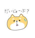 ゆる柴犬クッキー（個別スタンプ：23）