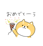 ゆる柴犬クッキー（個別スタンプ：33）