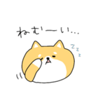 ゆる柴犬クッキー（個別スタンプ：37）