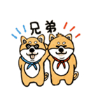 柴犬ブラザーズのスタンプ（個別スタンプ：6）