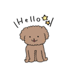 Poodle☆プードル☆犬（個別スタンプ：1）