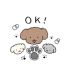 Poodle☆プードル☆犬（個別スタンプ：10）