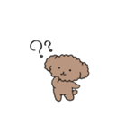 Poodle☆プードル☆犬（個別スタンプ：31）