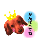 大好きなペットたち❤️2（個別スタンプ：1）